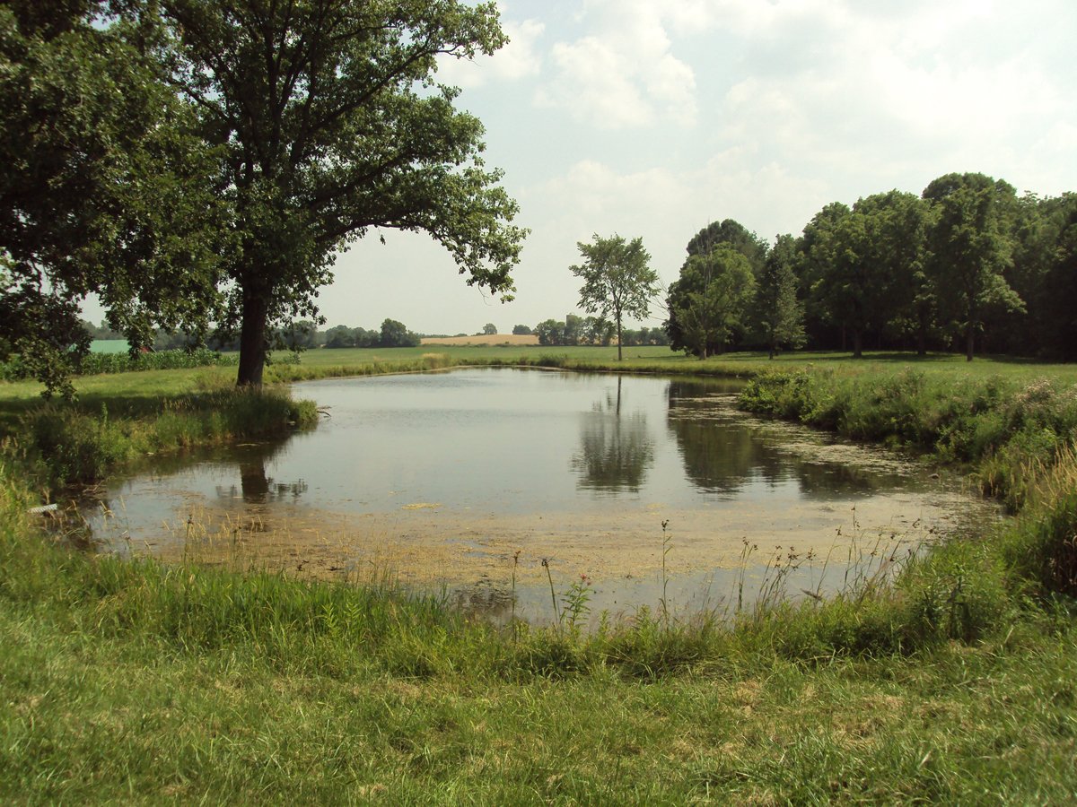 Property photo 1 - 160 Acres Offered in 6 Tracts